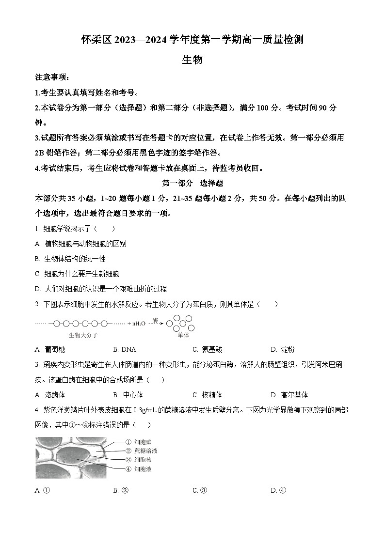 北京市怀柔区2023-2024学年高一上学期期末考试生物试卷(Word版附解析)01