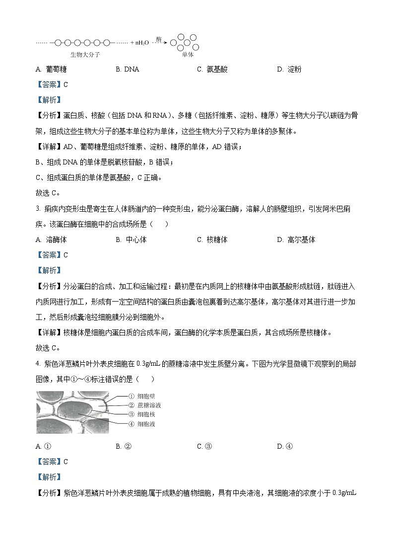 北京市怀柔区2023-2024学年高一上学期期末考试生物试卷(Word版附解析)02