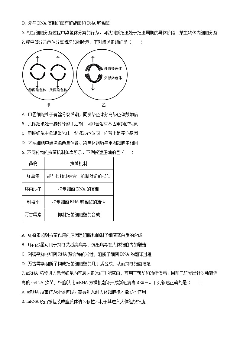 湖北省华中师范大学一附中2023~2024学年高二9月月考生物试题 Word版无答案第2页