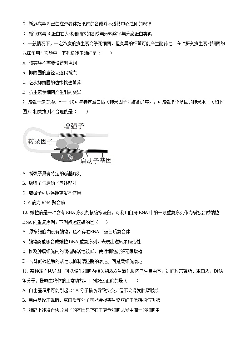 湖北省华中师范大学一附中2023~2024学年高二9月月考生物试题 Word版无答案第3页