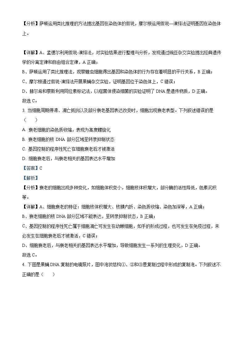 湖北省华中师范大学一附中2023~2024学年高二9月月考生物试题 Word版含解析第2页