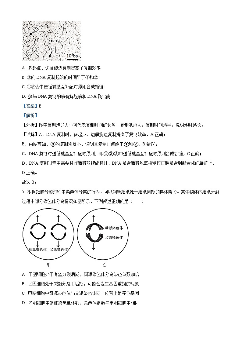 湖北省华中师范大学一附中2023~2024学年高二9月月考生物试题 Word版含解析第3页