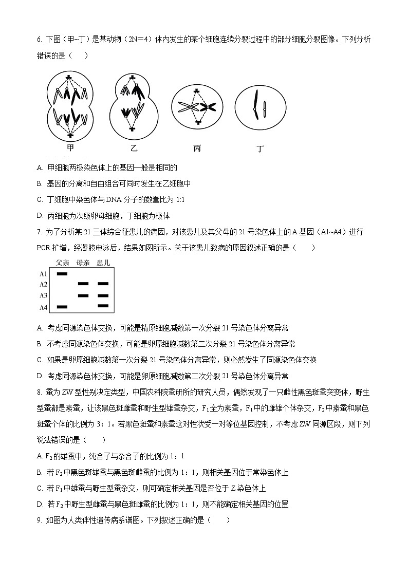 四川省广安市第二中学2024-2025学年高二上学期开学考试生物试题(原卷版+解析版)02