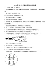 江西省宜春市2024-2025学年高二上学期开学考试生物试题（原卷版+解析版）