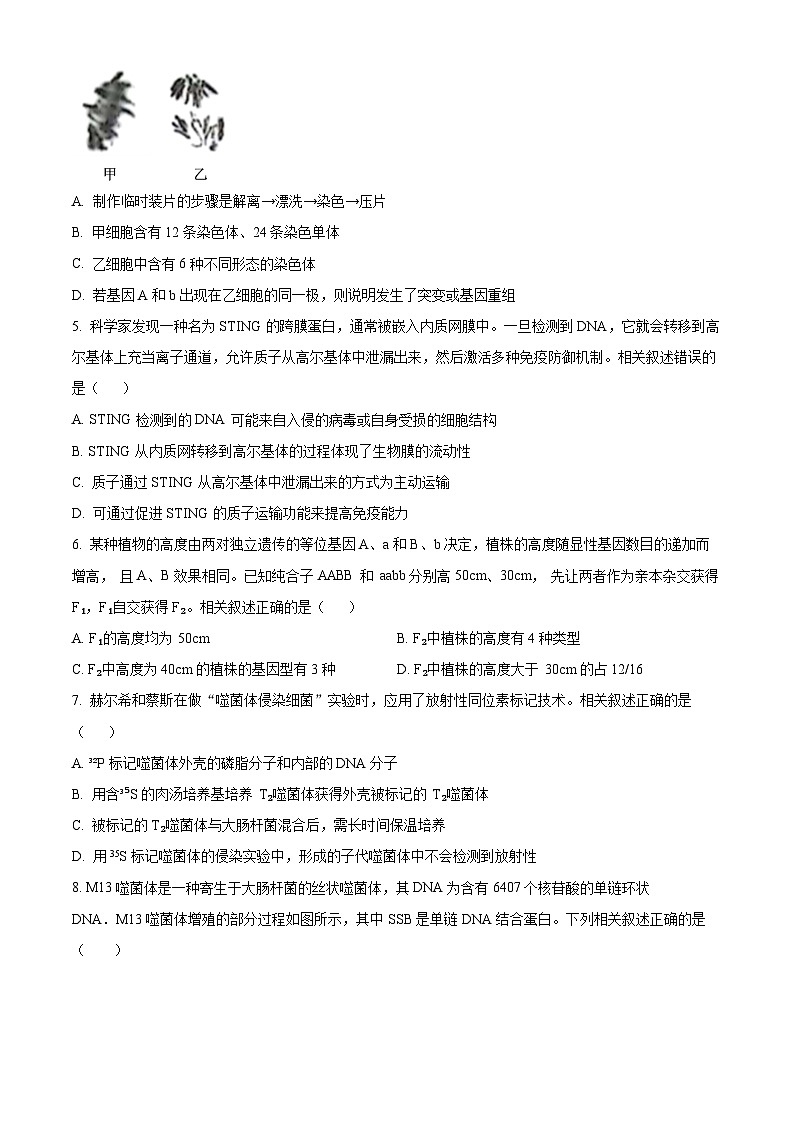 江苏省南通市海安市2024-2025学年高三上学期期初学业质量监测生物试题(原卷版)第2页