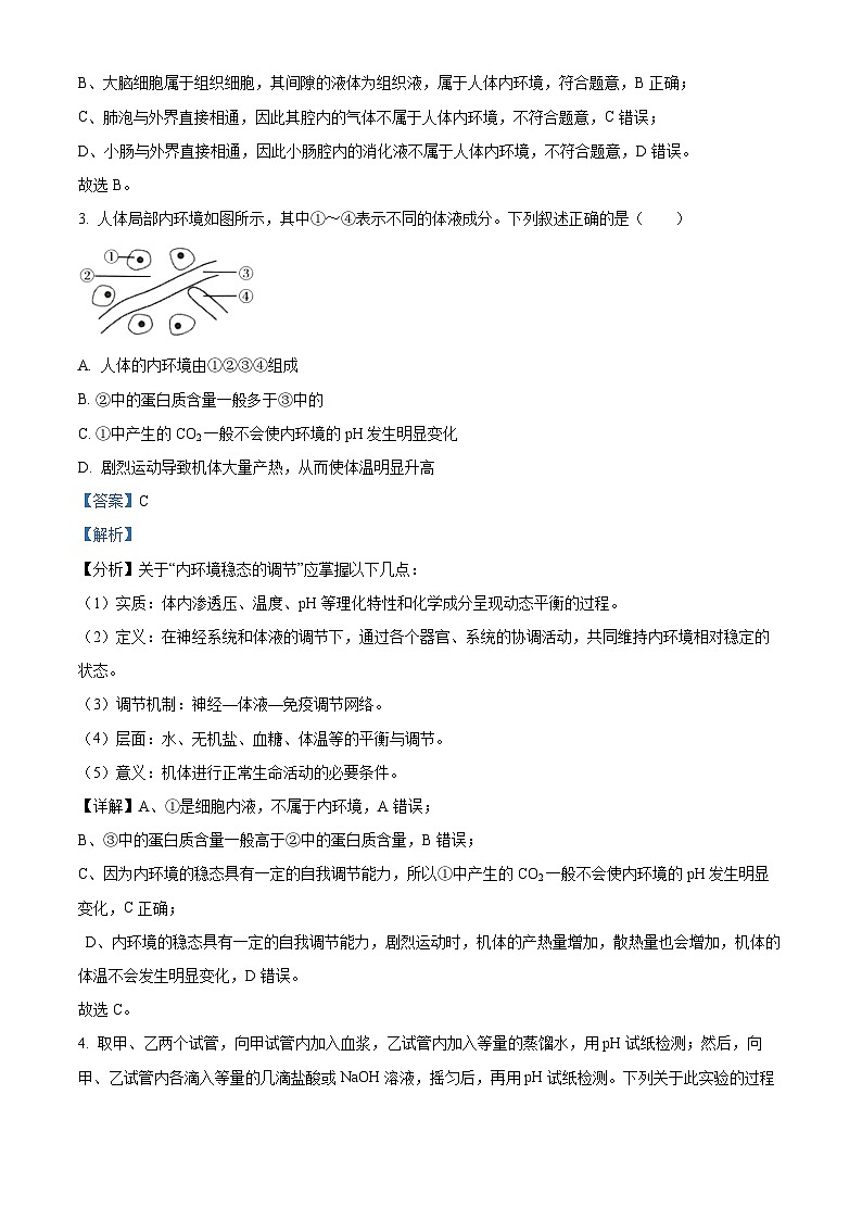 甘肃省兰州市2024-2025学年高二上学期第一次月考摸底生物试题(解析版)第2页