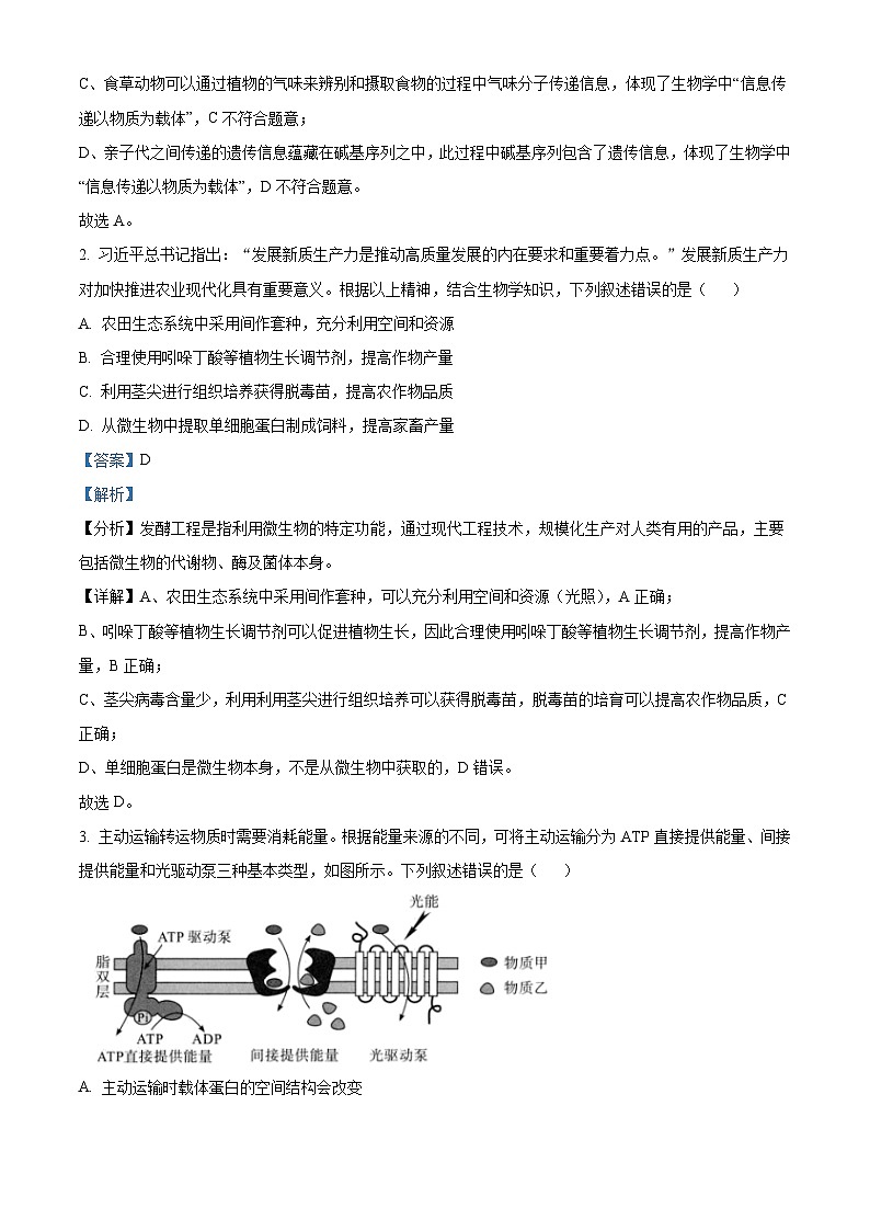 湖北省武汉市部分学校2024-2025学年高三上学期9月调研考试生物试卷 Word版含解析02