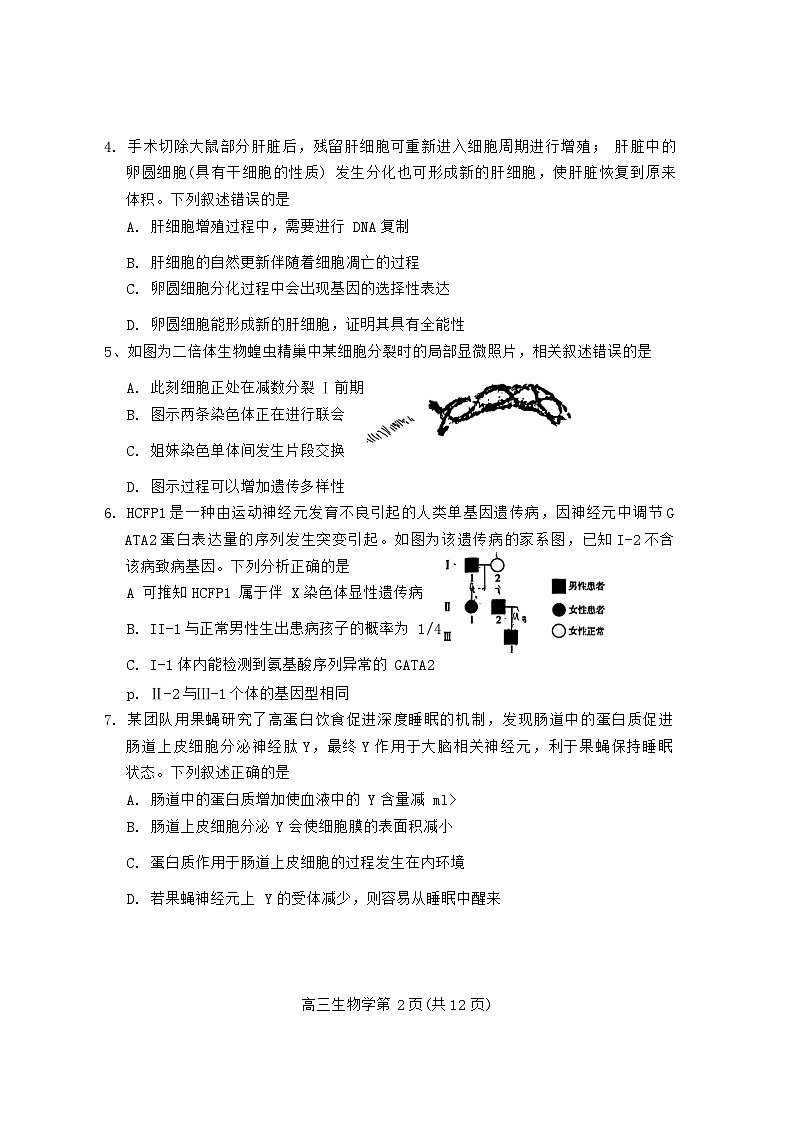 北京市房山区2024--2025学年高三上学期入学测试生物试题第2页