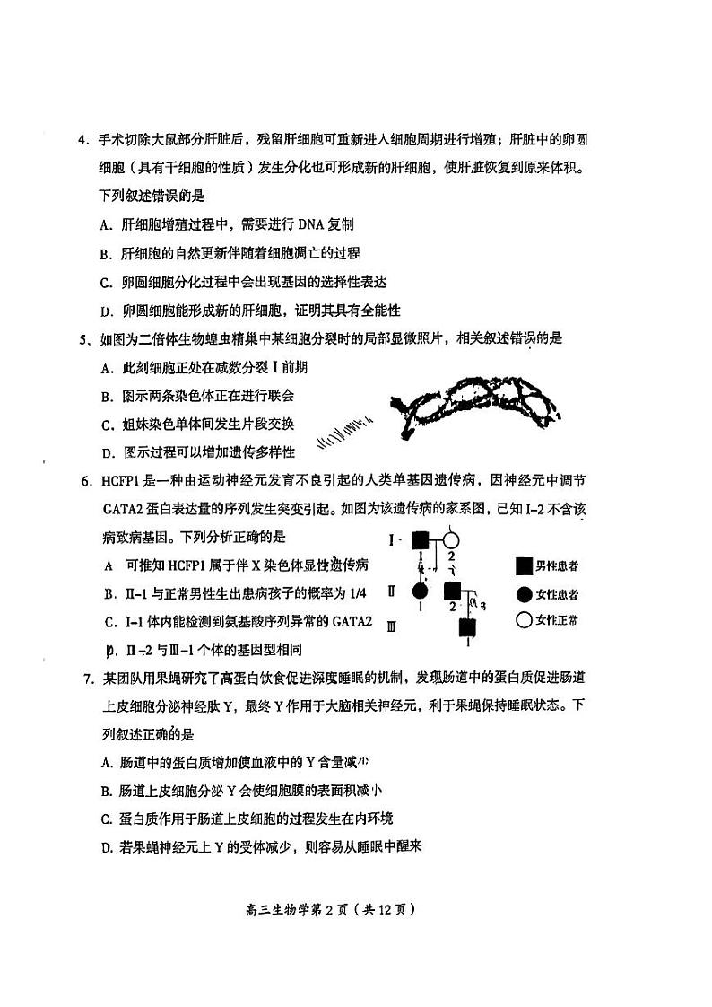 北京市房山区2024-2025学年高三上学期入学测试生物试题第2页
