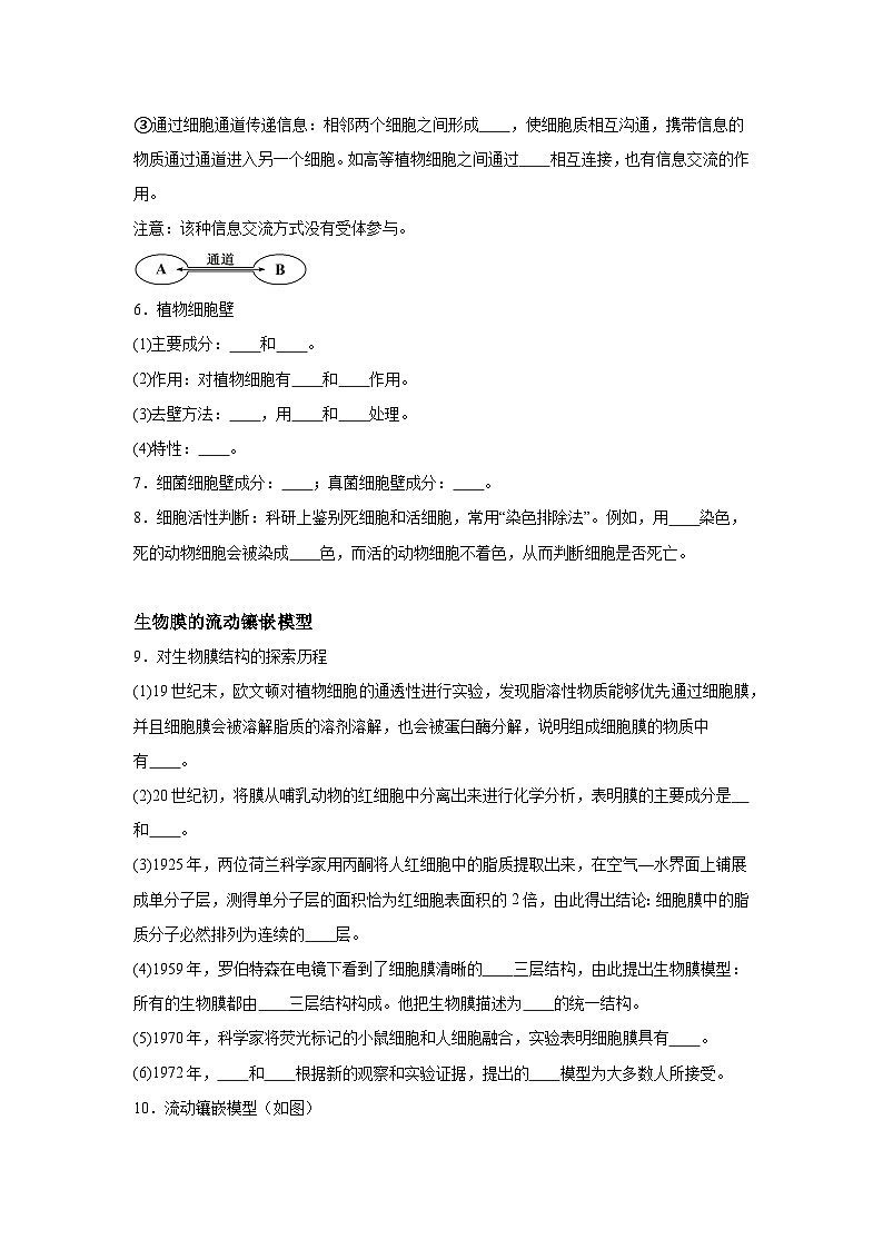 高中生物微专题-必修一知识填空-第3章 第1节 细胞膜的结构和功能-2025年高考生物一轮复习知识填空练习第2页