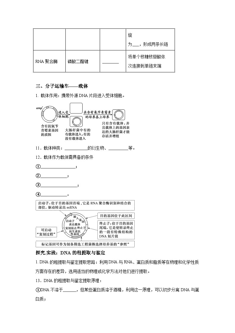 高中生物微专题-选必三知识填空-第3章 第1节 重组DNA技术的基本工具-2025年高考生物一轮复习知识填空练习第3页