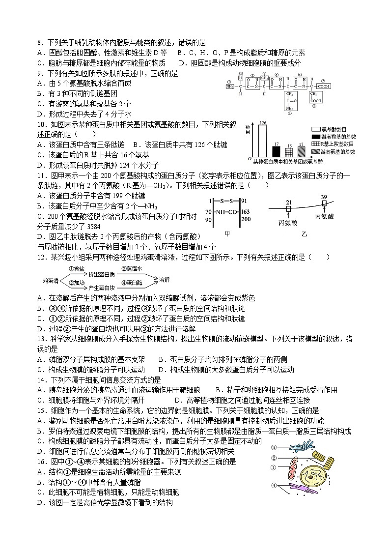 试题第2页