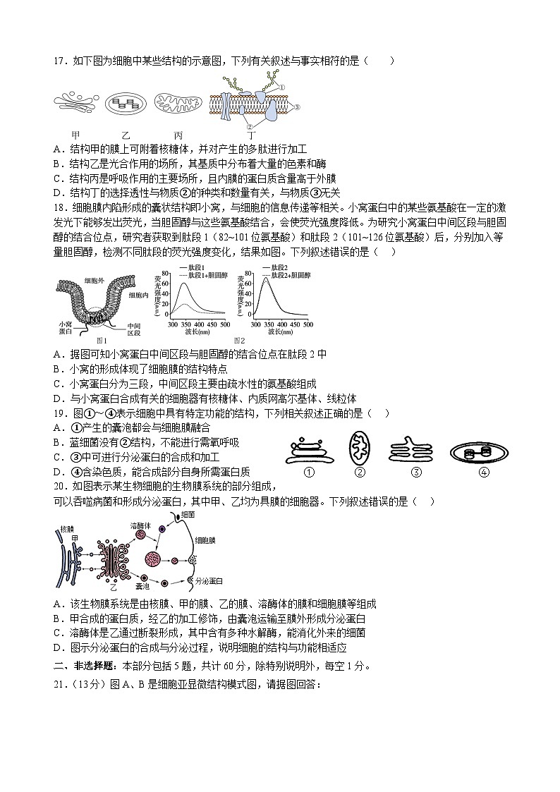 试题第3页