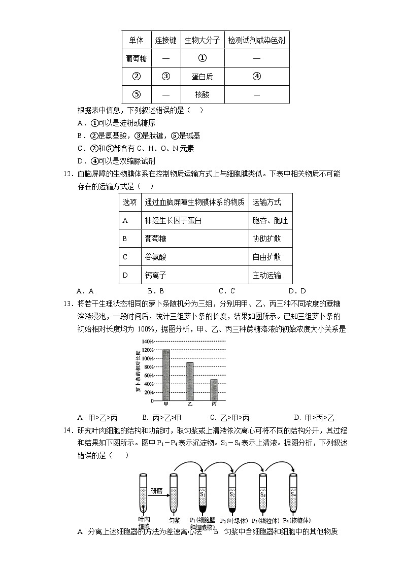 四川省广安中学2023-2024学年高一上学期期末模拟考试生物试题03
