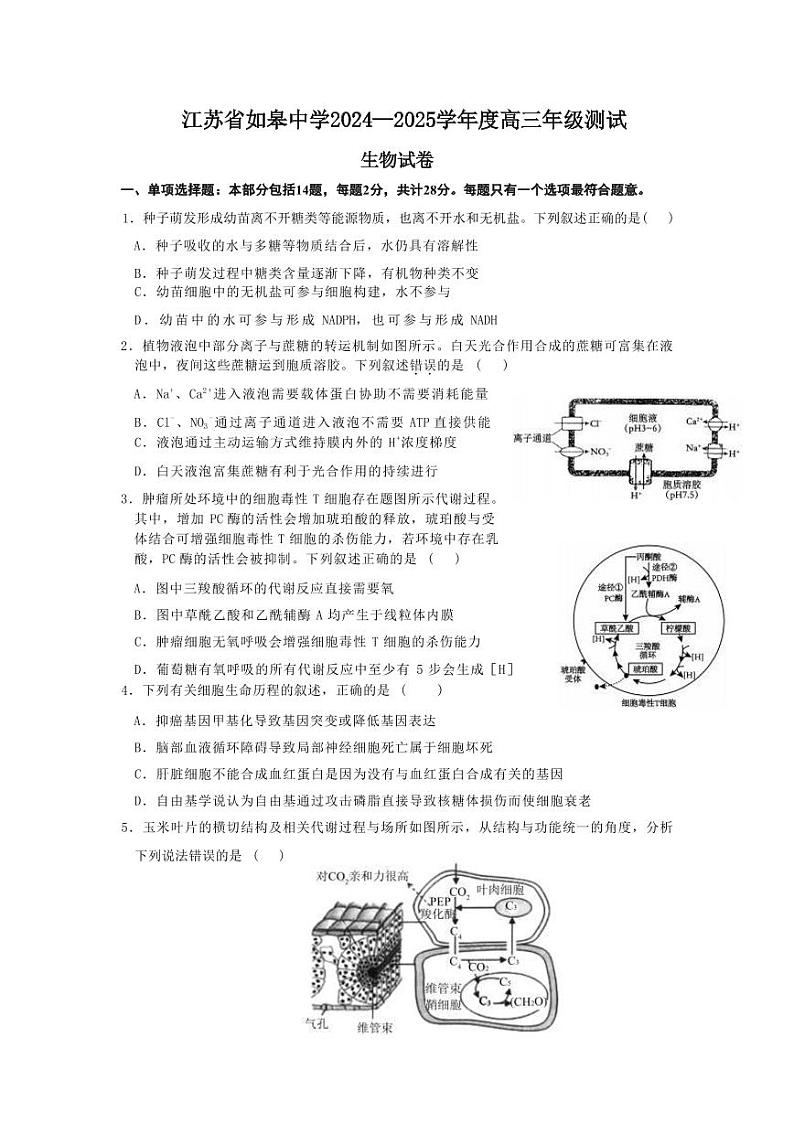 江苏省如皋中学2024—2025学年度高三年级测试生物试题(含答案)_create第1页