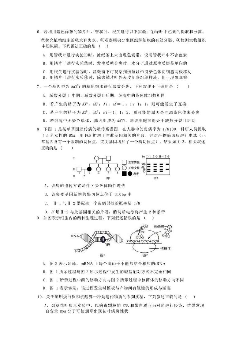 江苏省如皋中学2024—2025学年度高三年级测试生物试题(含答案)_create第3页