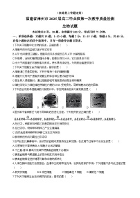 福建省漳州市2024-2025学年高三上学期第一次质量检测生物试卷（Word版附答案）