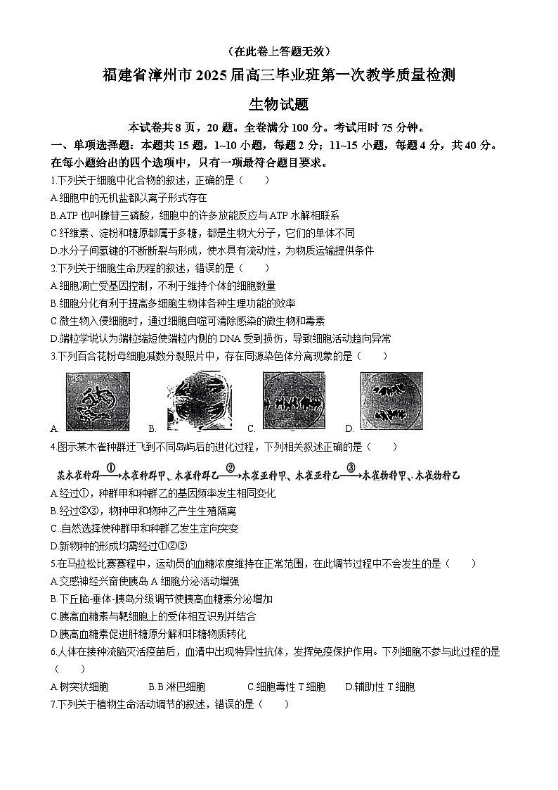 福建省漳州市2024-2025学年高三上学期第一次质量检测生物试卷(Word版附答案)01