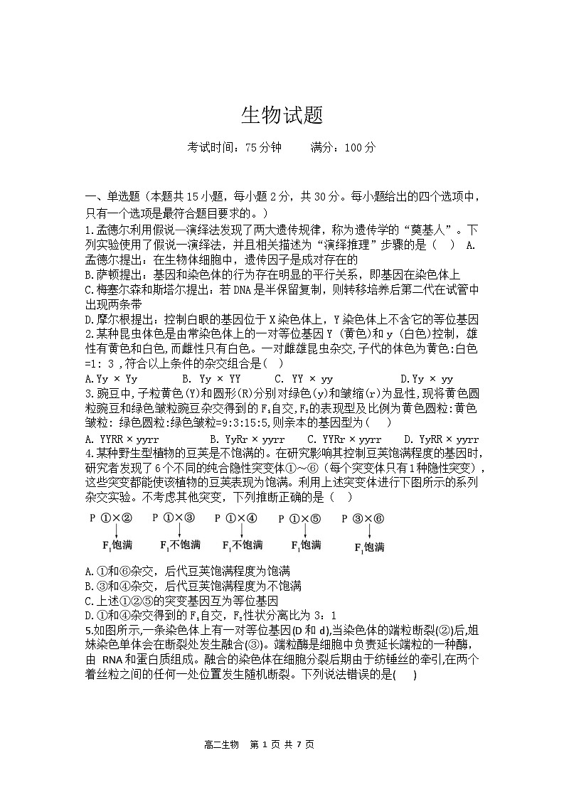 辽宁省七校2024-2025学年高二上学期期初考试生物试题(Word版附答案)第1页