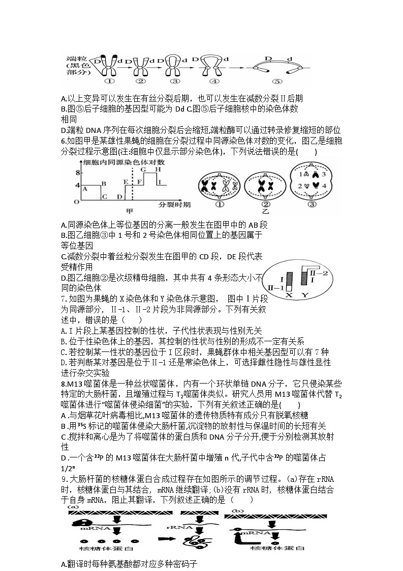 辽宁省七校2024-2025学年高二上学期期初考试生物试题(Word版附答案)第2页