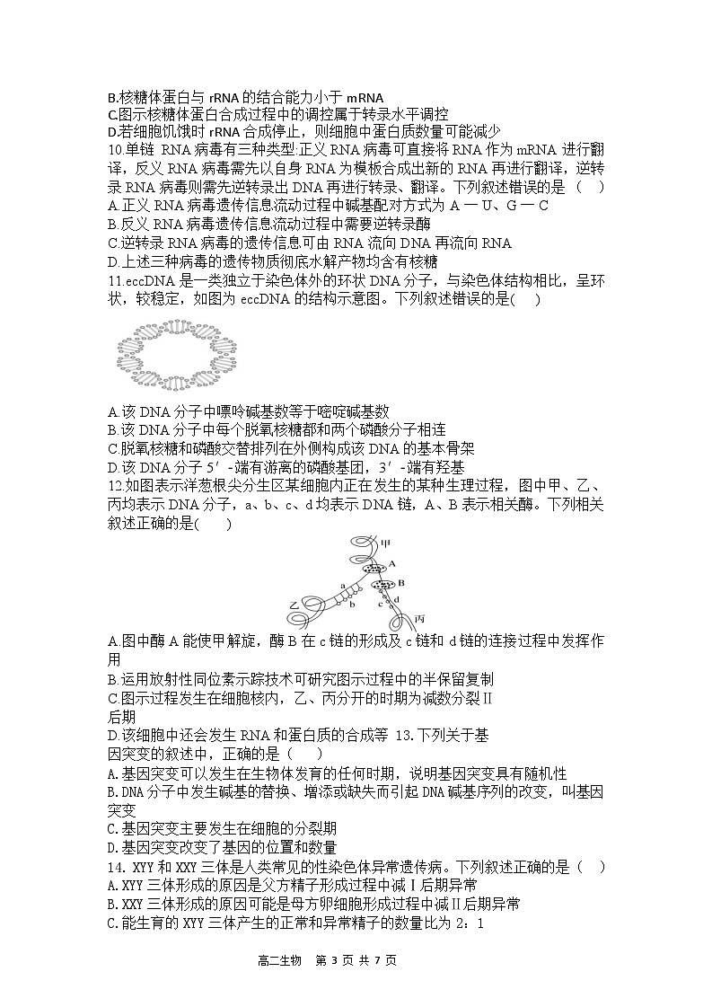 辽宁省七校2024-2025学年高二上学期期初考试生物试题(Word版附答案)第3页