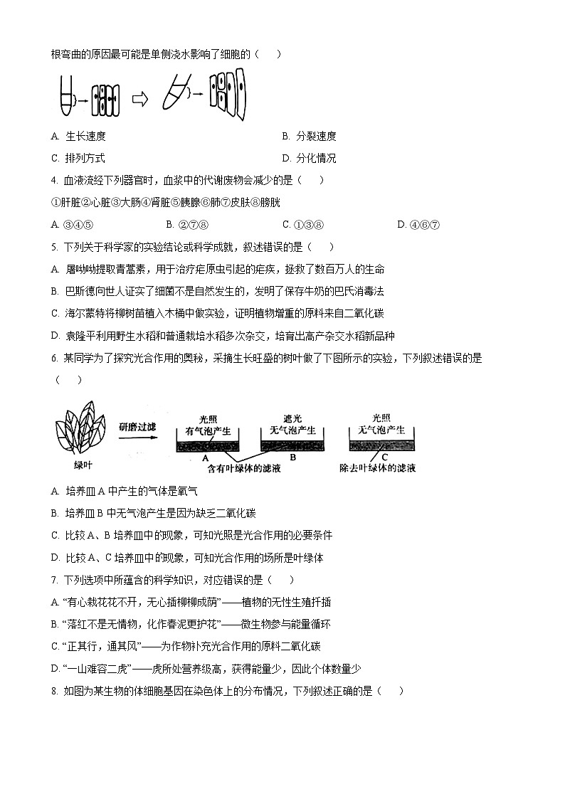山东省济南市2024-2025学年高一上学期开学考试生物试题(Word版附答案)第2页