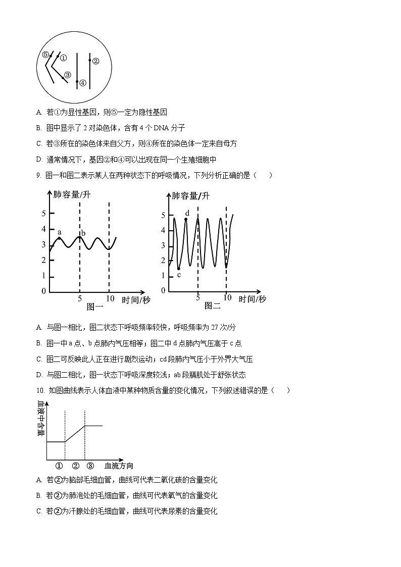 山东省济南市2024-2025学年高一上学期开学考试生物试题(Word版附答案)第3页