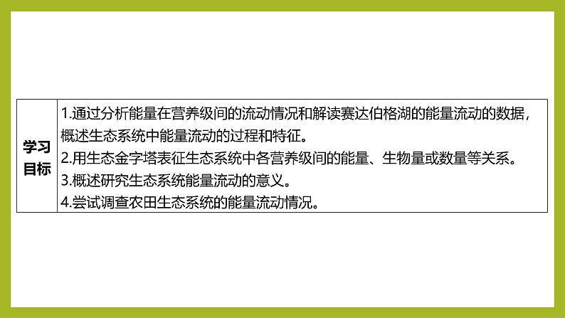 2024-2025学年 苏教版 选择性必修二 生态系统的能量流动 课件02