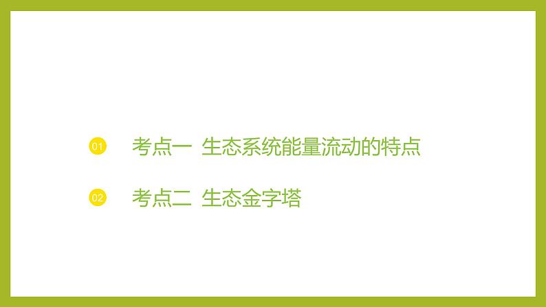 2024-2025学年 苏教版 选择性必修二 生态系统的能量流动 课件03