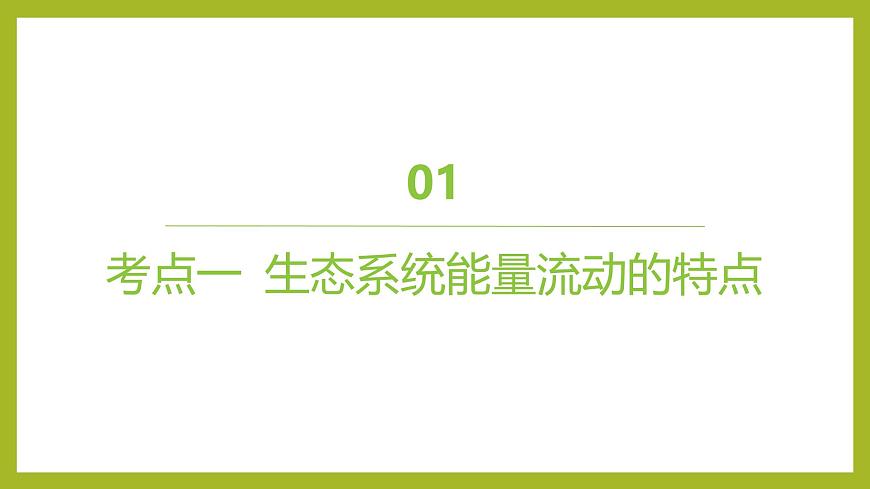 2024-2025學(xué)年 蘇教版  選擇性必修二 　 生態(tài)系統(tǒng)的能量流動(dòng) 課件第4頁(yè)