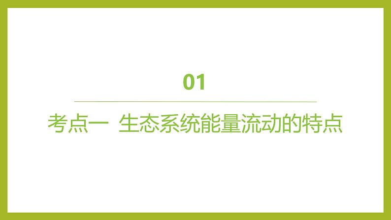 2024-2025学年 苏教版 选择性必修二 生态系统的能量流动 课件04