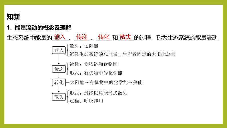 2024-2025学年 苏教版 选择性必修二 生态系统的能量流动 课件05