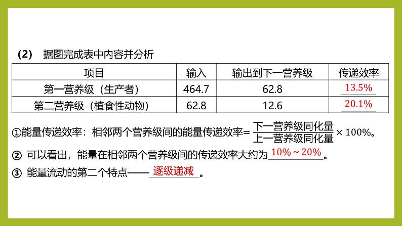2024-2025学年 苏教版 选择性必修二 生态系统的能量流动 课件07