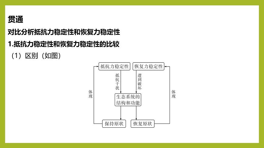 2024-2025學(xué)年 蘇教版  選擇性必修二 　 生態(tài)系統(tǒng)的穩(wěn)態(tài)及維持 課件第8頁(yè)