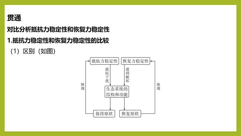 2024-2025学年 苏教版 选择性必修二 生态系统的稳态及维持 课件08