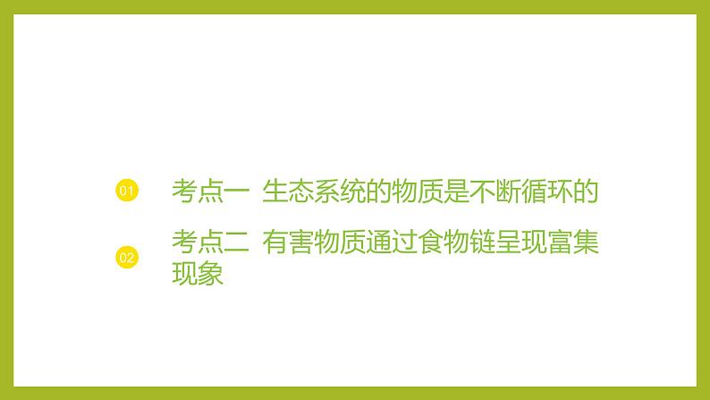 2024-2025学年 苏教版 选择性必修二 生态系统的物质循环 课件第3页