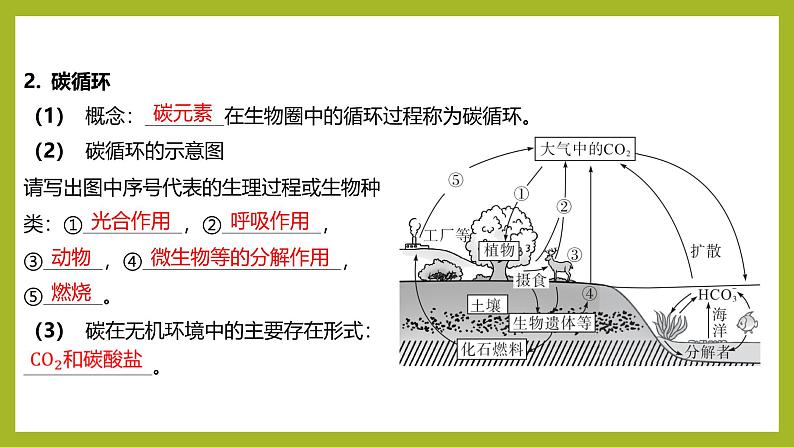 2024-2025学年 苏教版 选择性必修二 生态系统的物质循环 课件第6页