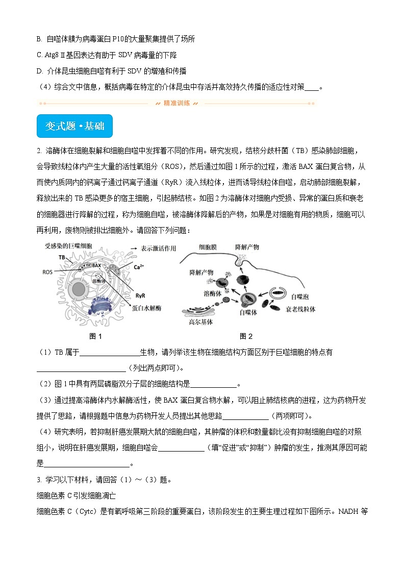 2024届北京市丰台区高三二模生物试题变式题20-21 Word版无答案第2页