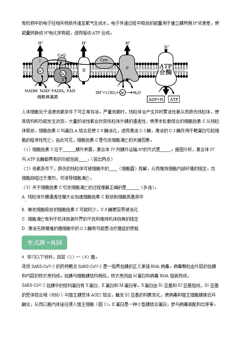 2024届北京市丰台区高三二模生物试题变式题20-21 Word版无答案第3页