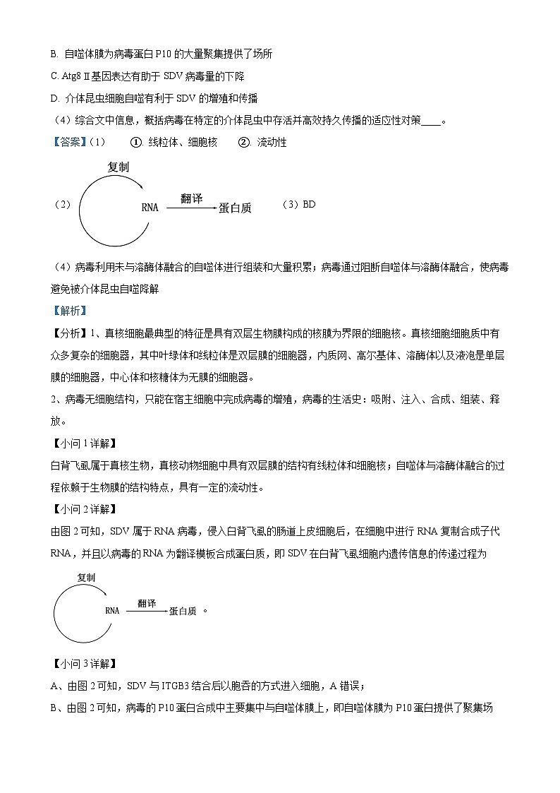 2024届北京市丰台区高三二模生物试题变式题20-21 Word版含解析第2页