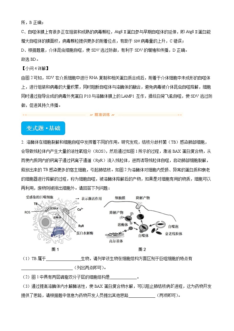 2024届北京市丰台区高三二模生物试题变式题20-21 Word版含解析第3页