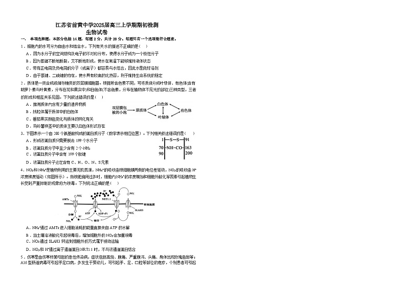 江苏省前黄高级中学2024-2025学年高三上学期入学检测生物试卷(Word版附答案)第1页