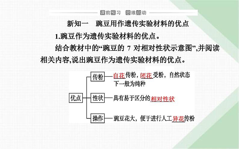 人教版高中生物必修2第1章遗传因子的发现第1节孟德尔的豌豆杂交实验(一)课件第3页