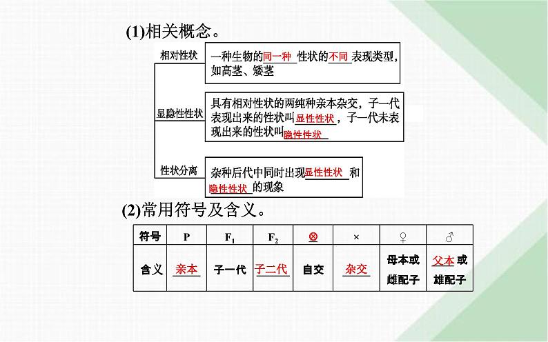 人教版高中生物必修2第1章遗传因子的发现第1节孟德尔的豌豆杂交实验(一)课件第7页