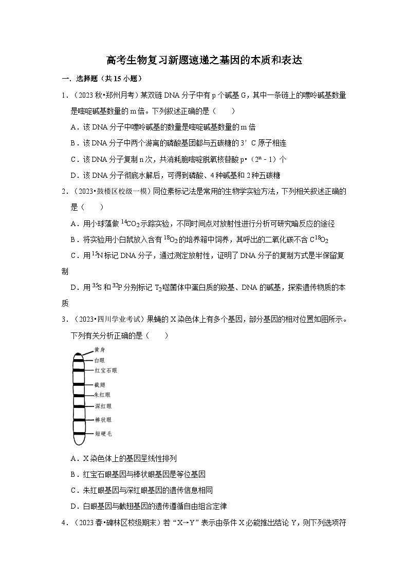 高考生物复习新题速递之基因的本质和表达第1页