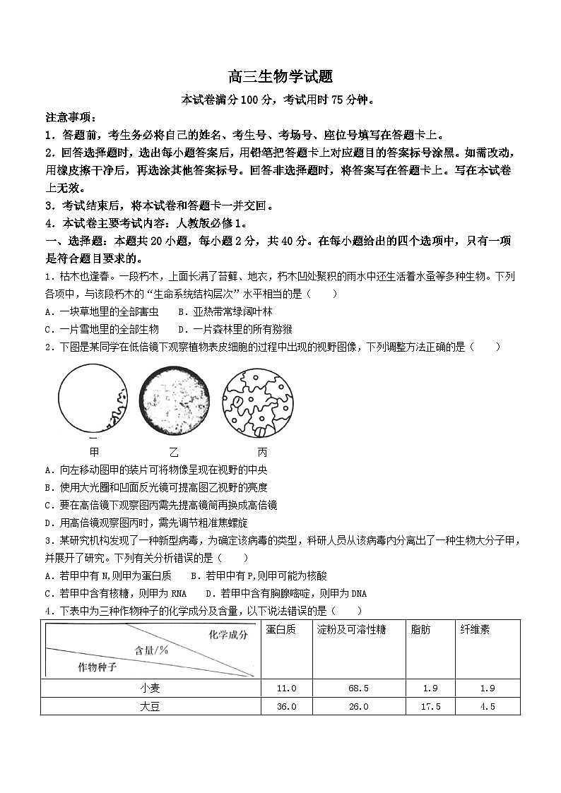 山西省晋城市2024-2025学年高三上学期9月月考生物试题01