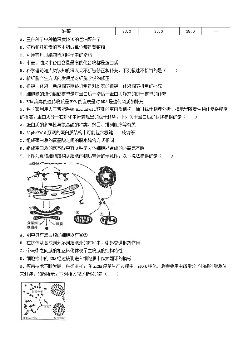 山西省晋城市2024-2025学年高三上学期9月月考生物试题02