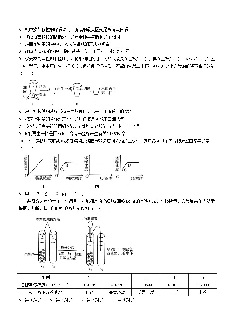 山西省晋城市2024-2025学年高三上学期9月月考生物试题03