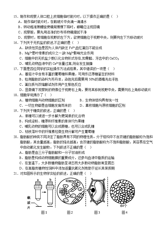 湖北省荆州市沙市区沙市中学2024-2025学年高一上学期9月月考生物试题03