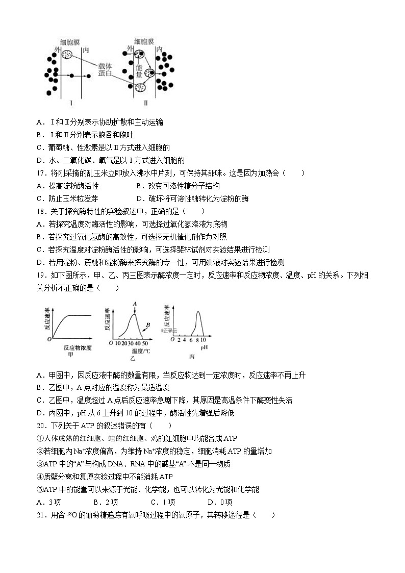 河北省邯郸市峰峰第一中学2022-2023学年高一上学期期末考试生物试题(无答案)03